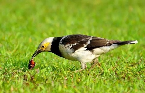 william威廉中文官网