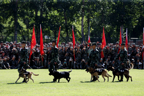 william威廉中文官网