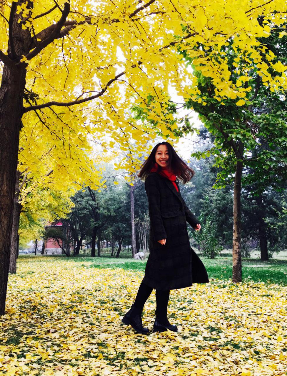 william威廉中文官网